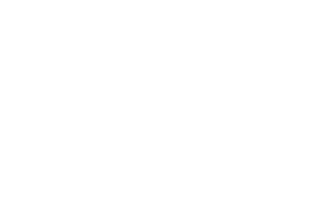 logo-fiap